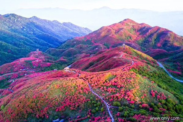 西藏五月景点