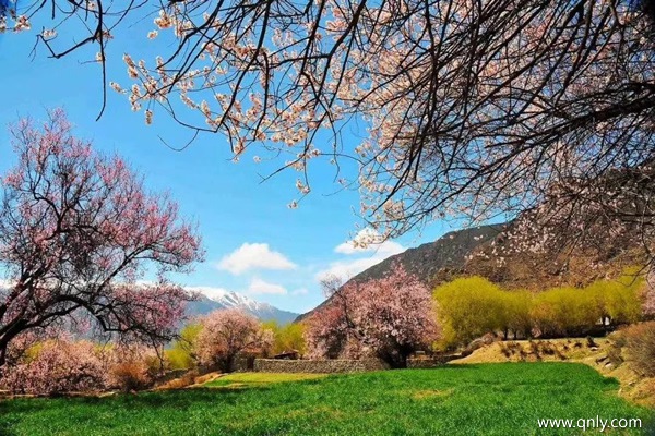 林芝的旅游景点