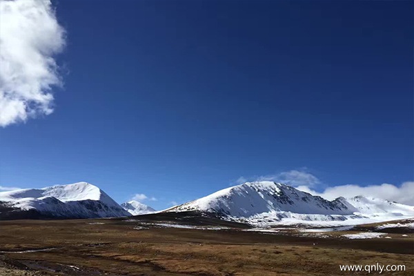 西藏旅行要多少钱