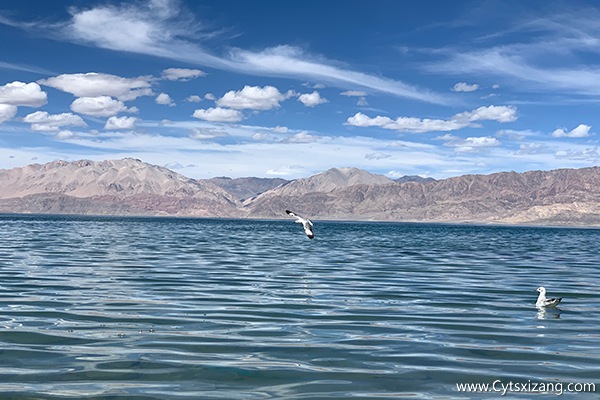 西藏最美的湖泊有哪些
