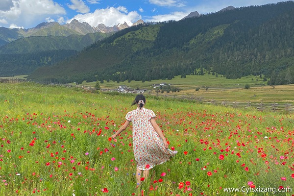 西藏旅游大概费用要多少钱