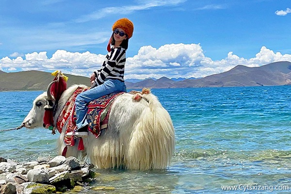 西藏旅游团大概多少钱
