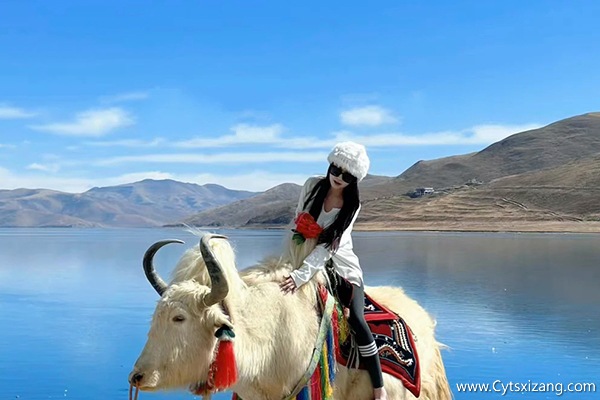 两个人去西藏旅游需要多少钱