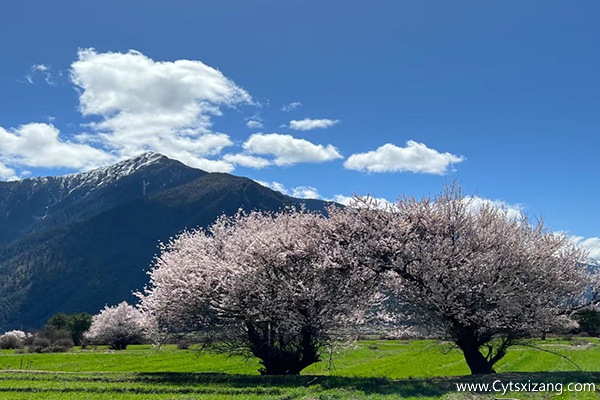 3月份拉萨旅行路线