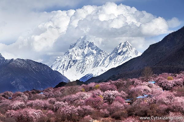 三月西藏旅游攻略