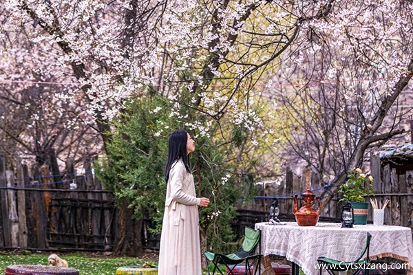 3月的西藏美吗适合一个人去吗？