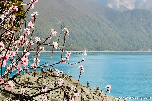 4月两个人去林芝旅游一般多少钱