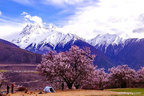 西藏旅游月份