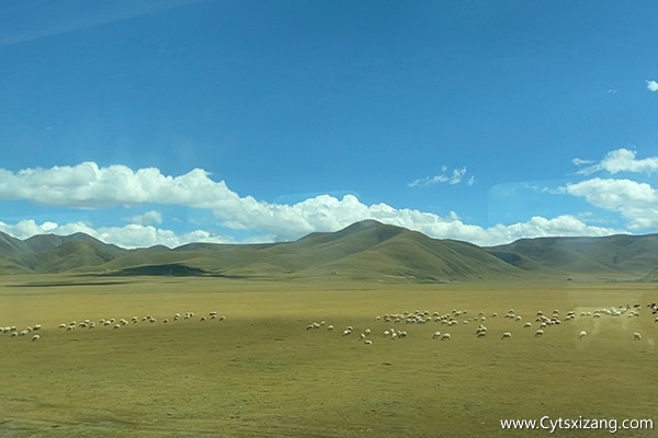 火车去西藏旅游