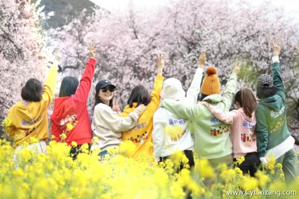 3月旅游去林芝桃花节一般好多钱