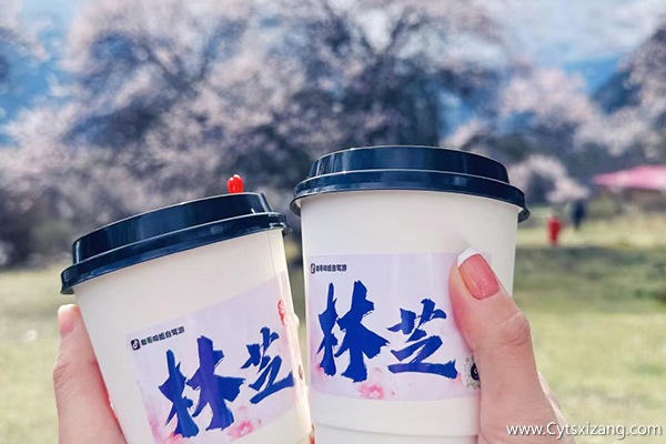 3月林芝旅游一般需要多少钱