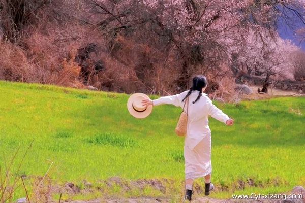 林芝桃花节什么时候