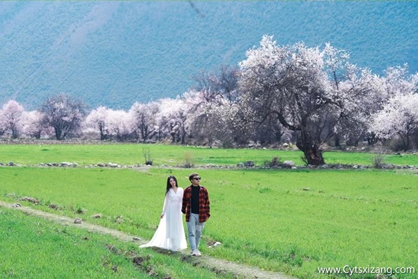 林芝的旅行社线路报价是多少