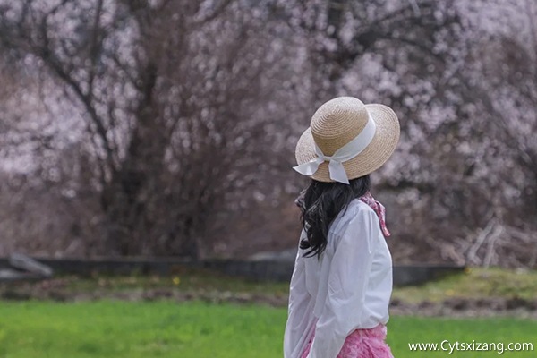 4月份去西藏的景色