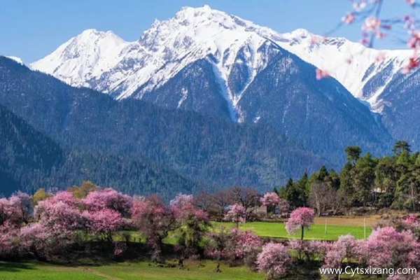 西藏旅游必去景点