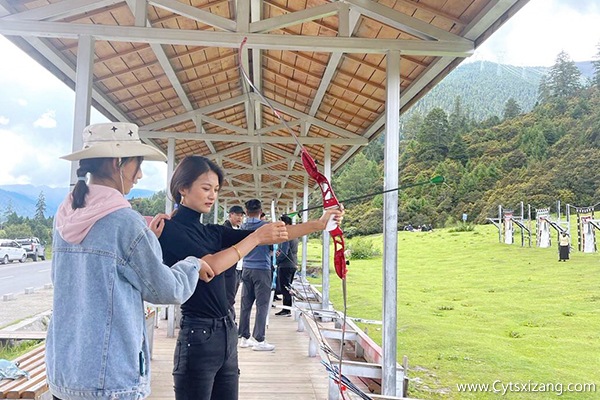 成都报团去西藏旅游得多少钱