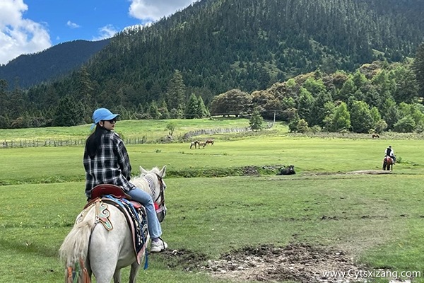 六月去西藏旅游一个星期要多少钱