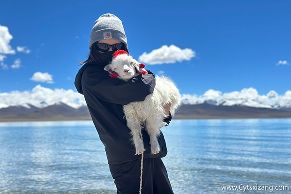 重庆去西藏旅游7天要多少钱