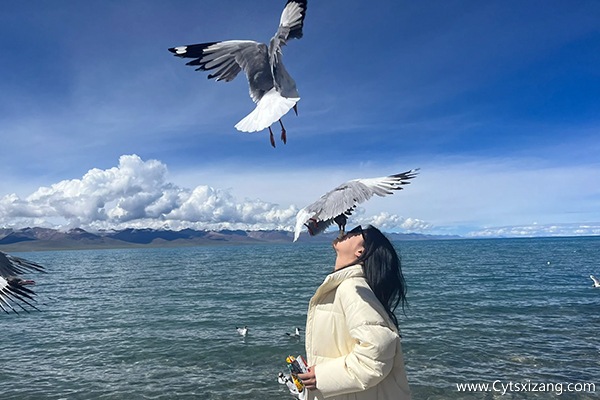 沈阳到拉萨俩人游玩一个礼拜要多少钱